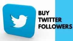 Buy Twitter Followers Non-Drop With Instant Deli