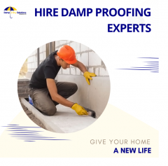 Hire The Best Damp Proofing Experts At Affordabl