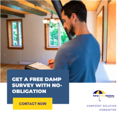 Get A Free Damp Survey With No Obligations
