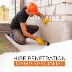 Hire The Penetration Damp Specialist At Affordab