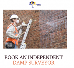 Now Book An Independent Damp Surveyor At Cheaper