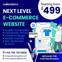 Get An Ecommerce Website At 499 For Your Online 