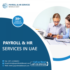 Outstanding Employer Of Record Solution In Uae