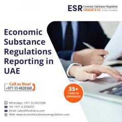 Economic Substance Regulations Services In Uae