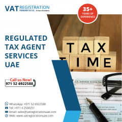 Vat Filing Experts In The Uae