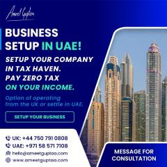 Business Setup Services In Uae