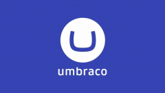 Leading Umbraco Website Development Company