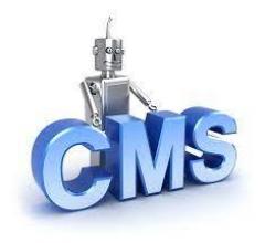 Custom Cms Development Services In Uk