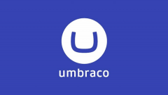 Hire Umbraco Website Development Company - Zenes