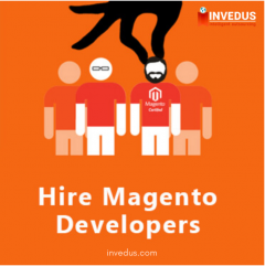 Hire An Expert Magento Developer At Affordable R