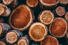 High-Quality Logs In Ireland