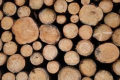 Best Logs In England