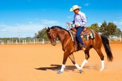 Horse Riding Lessons In Oxford
