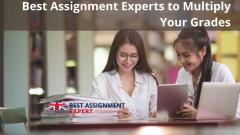Best Assignment Experts To Multiply Your Grades