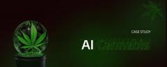 Ai Development For The Cannabis Industry By Zfor