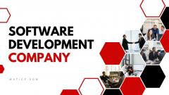 Software Development Firm