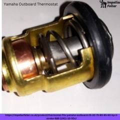 Shop Yamaha Outboard Thermostat From Impeller Fe