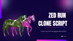 Zed Run Clone-Launch Horse Racing Game Like Zed 