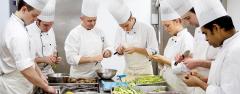 How Can Operational Chef Consultant Provide The 