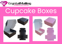 Premium Cupcake Boxes For Bakers And Gift Shops 