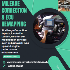 Advantages And Disadvantages Of Mileage Revision