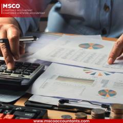 Income Tax Return Filing Made Easy With Msco Acc
