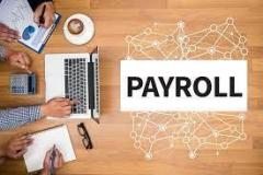 Professional Payroll Services In Ipswich - 1St S