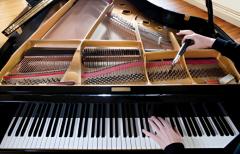 Professional Piano Tuning Newark  Enhance Your M