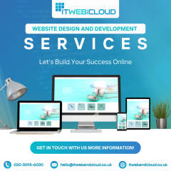 Professional Website Design And Development Serv