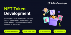 Develop Your Own Nft Token With Wealwin Technolo