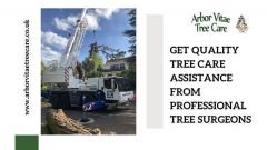 Get Quality Tree Care Assistance From Profession