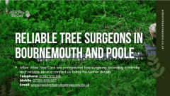 Why Local Tree Surgeons Give Your Trees The Best