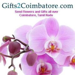 Same Day Delivery Of Gifts To Coimbatore For Any