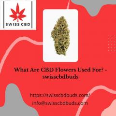 What Are Cbd Flowers Used For - Swisscbdbuds