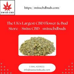 The Uks Largest Cbd Flower & Bud Store  Swiss Cb