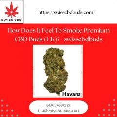 How Does It Feel To Smoke Premium Cbd Buds Uk - 