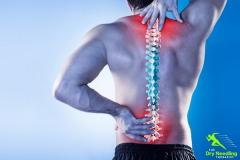 Back Pain Chelmsford Get On The Road To Recovery