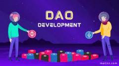 Dao Development Company-Improve Your Business By
