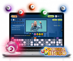 Our Speciality In Various Bingo Software