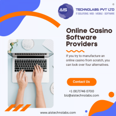 Best Online Casino Software Providers For Your C