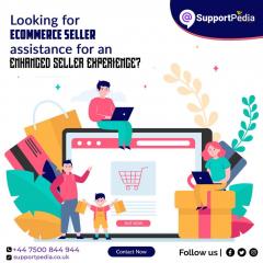 Are You Looking For Ecommerce Seller Assistance