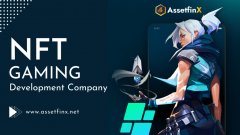 Bring Your Game To The Next Level With Assetfinx