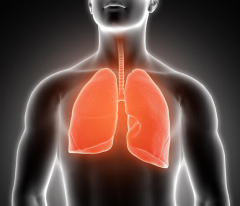 Are You Find Medicine For Respiratory System