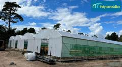 Polytunnels Construction Services