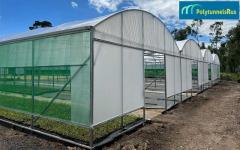 Polytunnel Cover