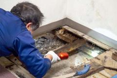 Online Mold Removal Products