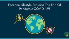 Explains The End Of Pandemic Covid-19  Ecozone L