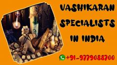 Vashikaran Specialists In India For Free Of Cost