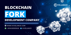 Maximize Efficiency With Blockchain Fork Develop