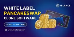 Build Your Branded Dex Fast With Our Pancakeswap